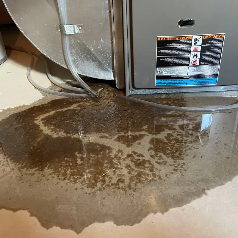 Pipe Burst and Leak Restoration in Burlington, KY