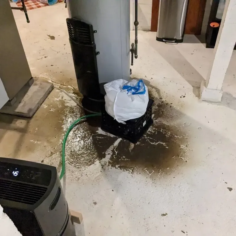 Sewage Backup Cleanup Service in Burlington, KY